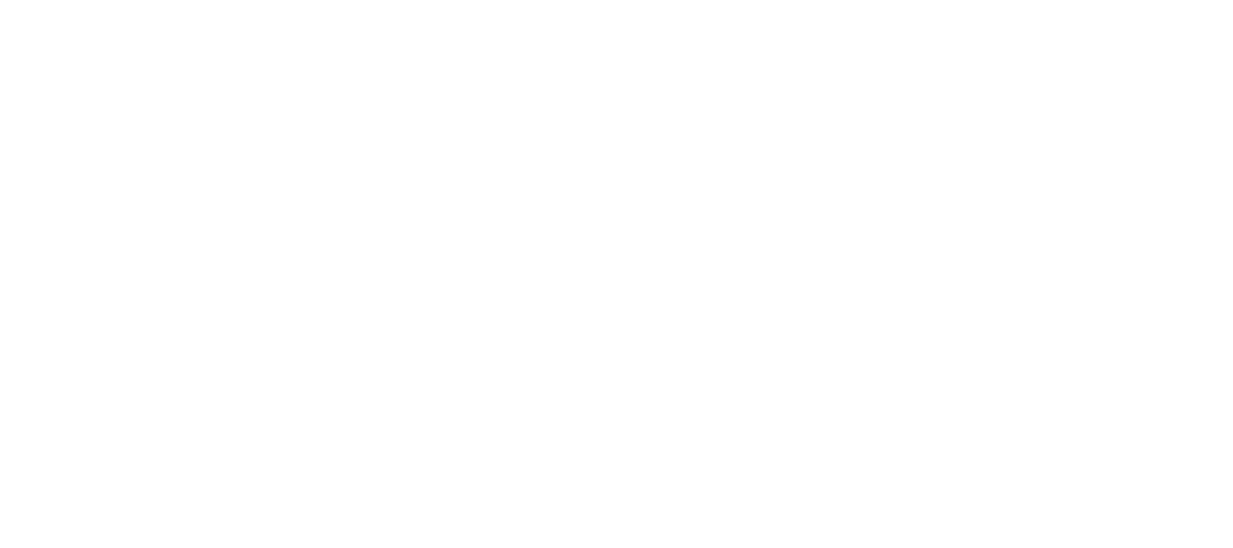 repleatbag